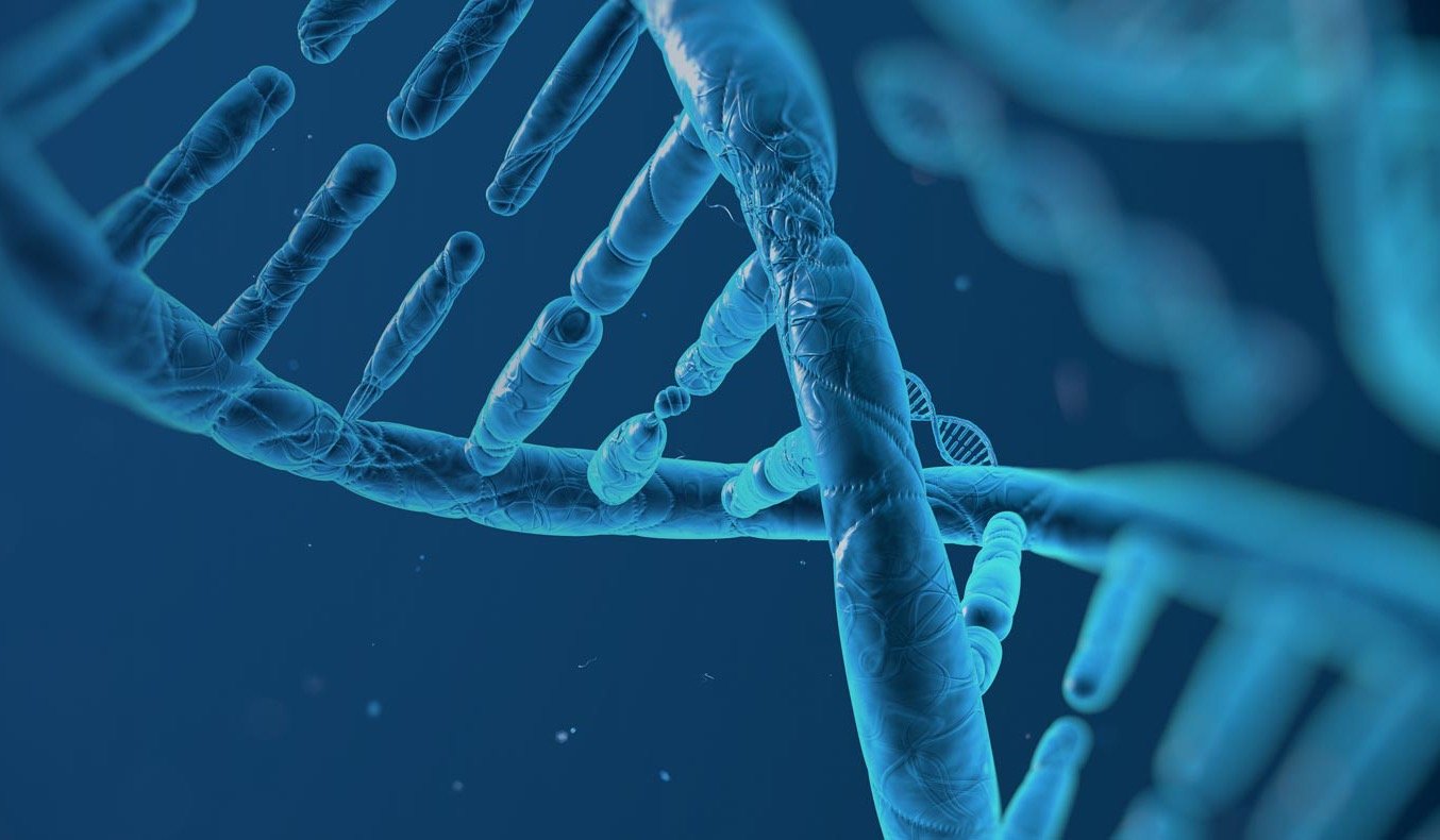 banner-dna-02-1